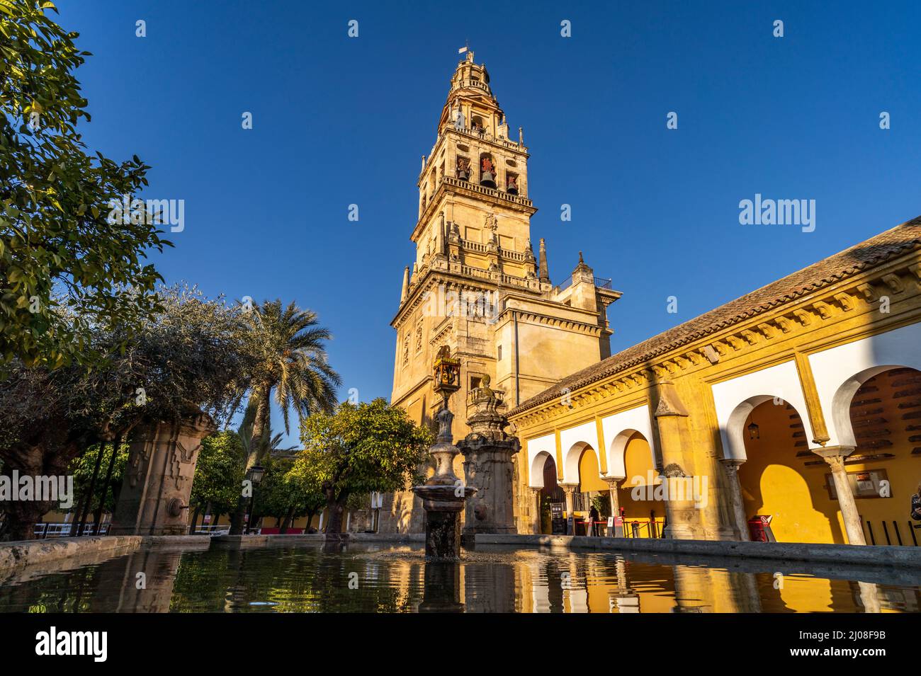 Orangenhof und Glockenturm der Mezquita - Catedral de Córdoba in Cordoba, Andalusien, Spanien | Gericht der Orangen und Mezquita - Moschee-Kathedrale von Stockfoto