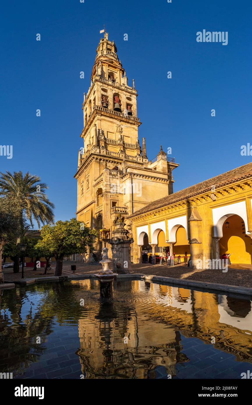 Orangenhof und Glockenturm der Mezquita - Catedral de Córdoba in Cordoba, Andalusien, Spanien | Gericht der Orangen und Mezquita - Moschee-Kathedrale von Stockfoto