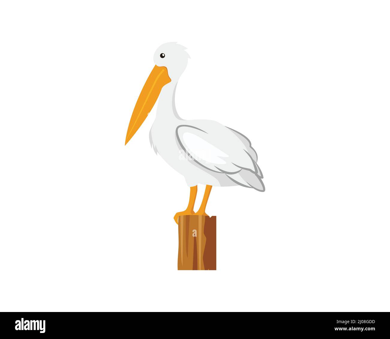 Pelican stehen und sich umsehen Stock Vektor