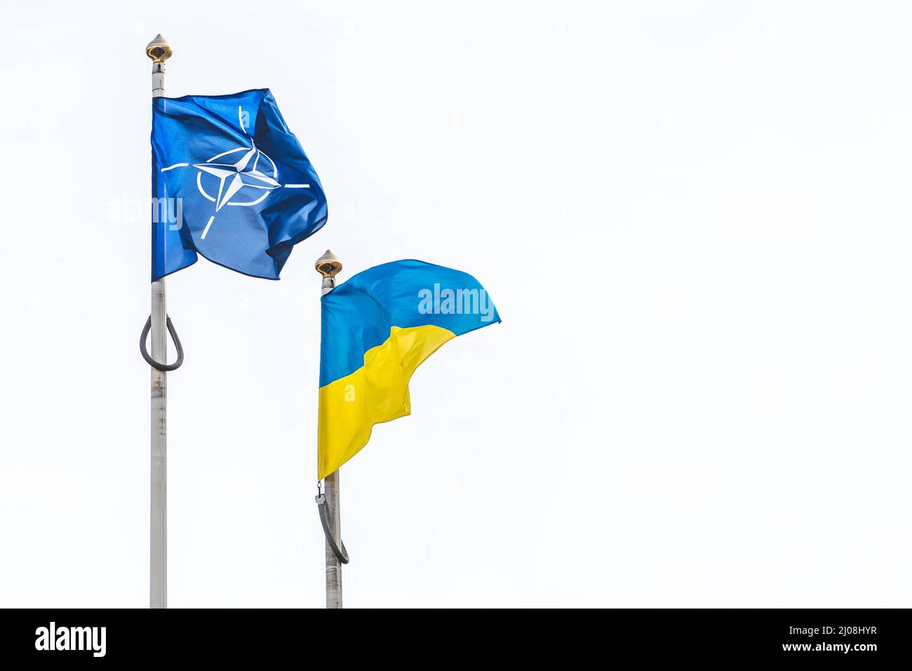 Flagge der NATO, der Organisation des Nordatlantikvertrags und der Ukraine winken am weißen Himmel, Kopierraum Stockfoto