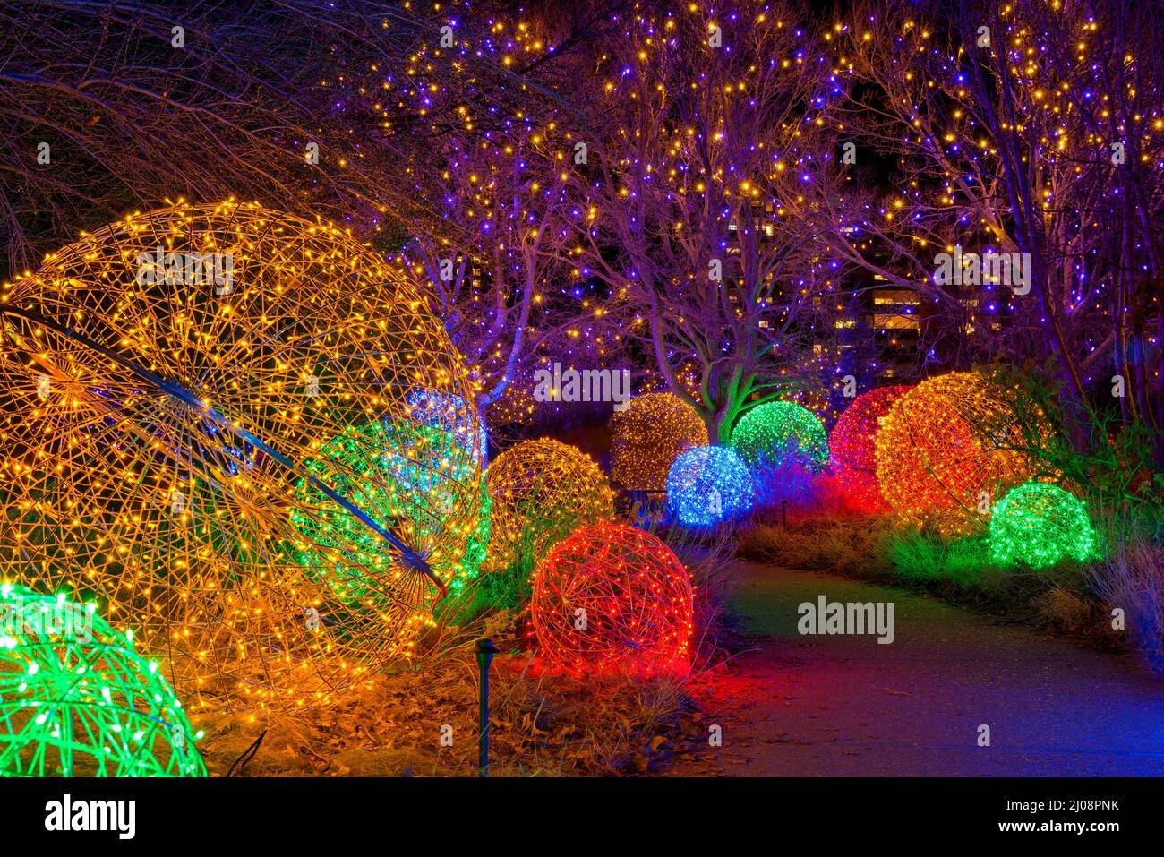 Path of Lights - Nachtansicht eines gewundenen Pfades, der von bunten Lichtern in den Botanischen Gärten von Denver während des Feiertags Blossoms of Light beleuchtet wird. Co, USA. Stockfoto