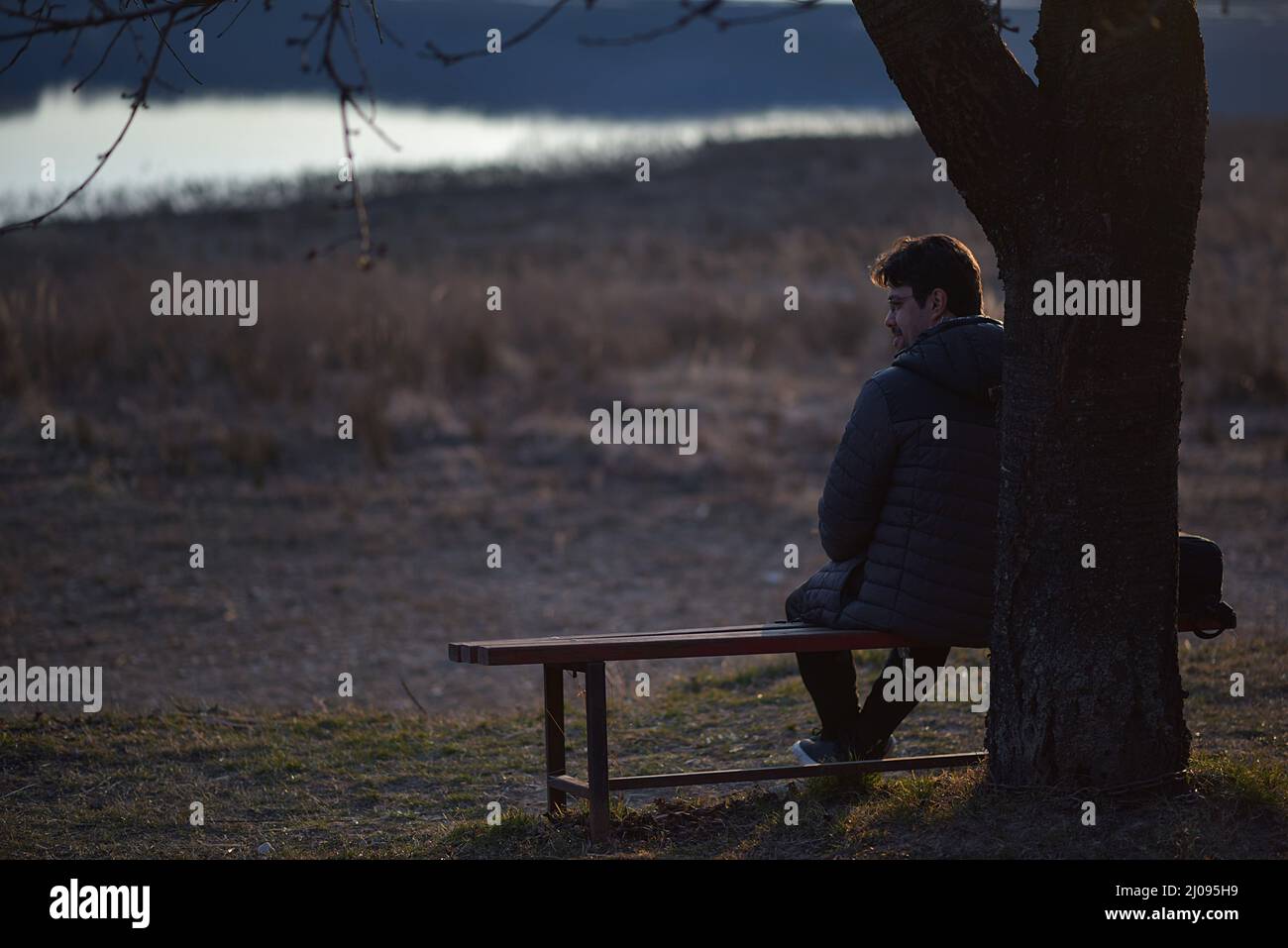 Mann, der auf einer Bank bei einem Baum sitzt. Frühfrühlingshafte Natur und Sonnenuntergang Stockfoto