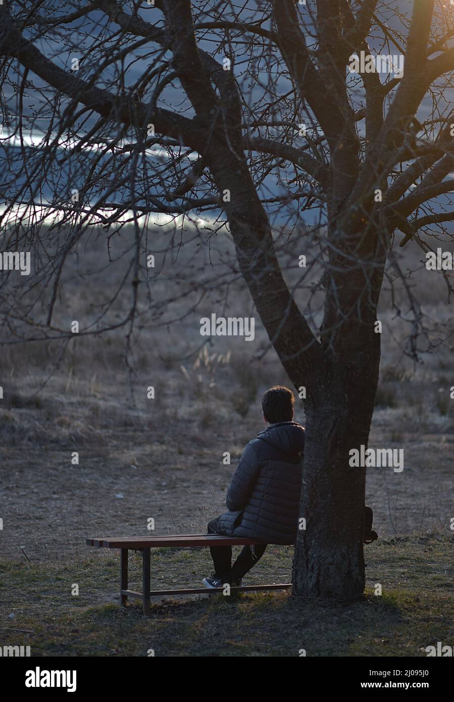 Mann, der auf einer Bank bei einem Baum sitzt. Frühfrühlingshafte Natur und Sonnenuntergang Stockfoto