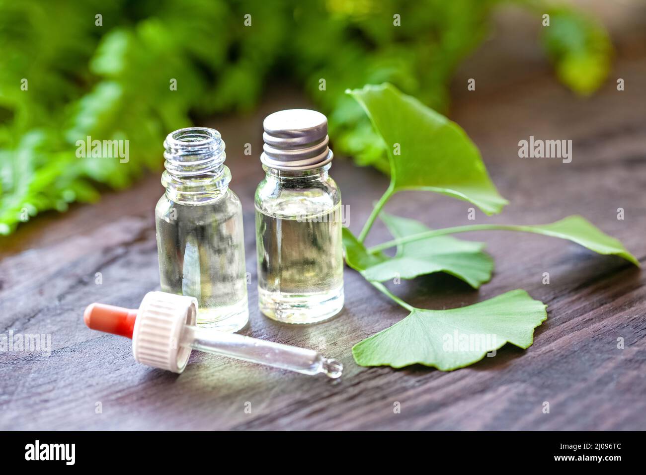 Pipettenflasche, Tinktur und Ginkgo-Blätter auf Holzhintergrund verziert. Homöopathisches Konzept. Stockfoto