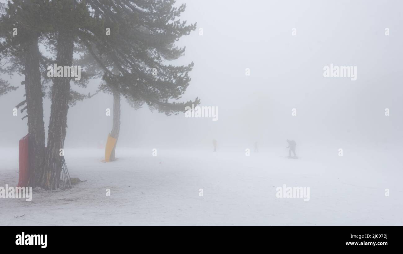 Silhouette eines Skilanglaufers, der in sehr dichtem Nebel kaum sichtbar ist. Schlechtes Wetter auf dem Skigebiet Stockfoto