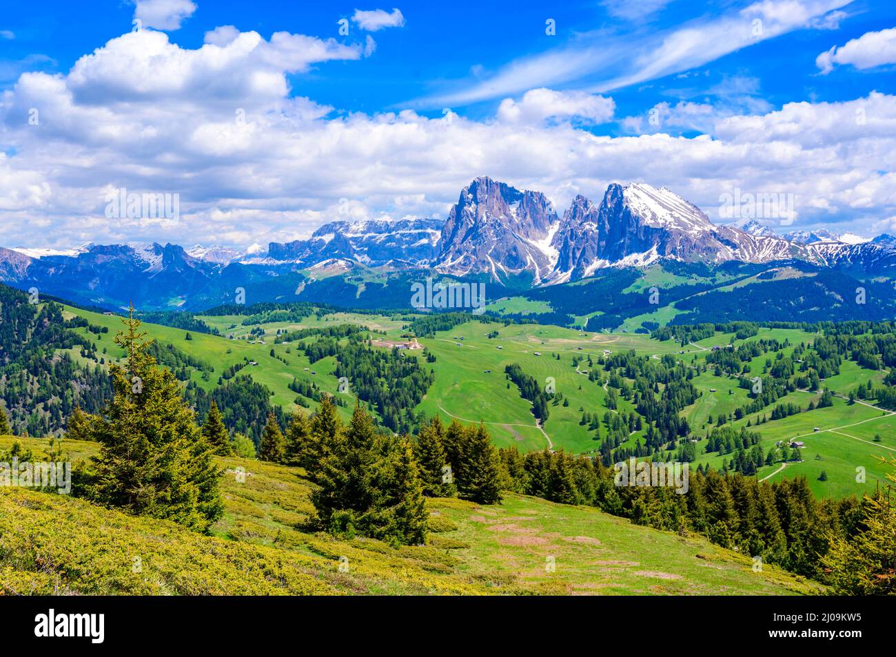 Seiser Alm oder Seiser Alm - wunderschöne Bergwelt der Dolomiten Alpen - Trentino-Südtirol, Südtirol, Italien - Reiseland in Europa Stockfoto