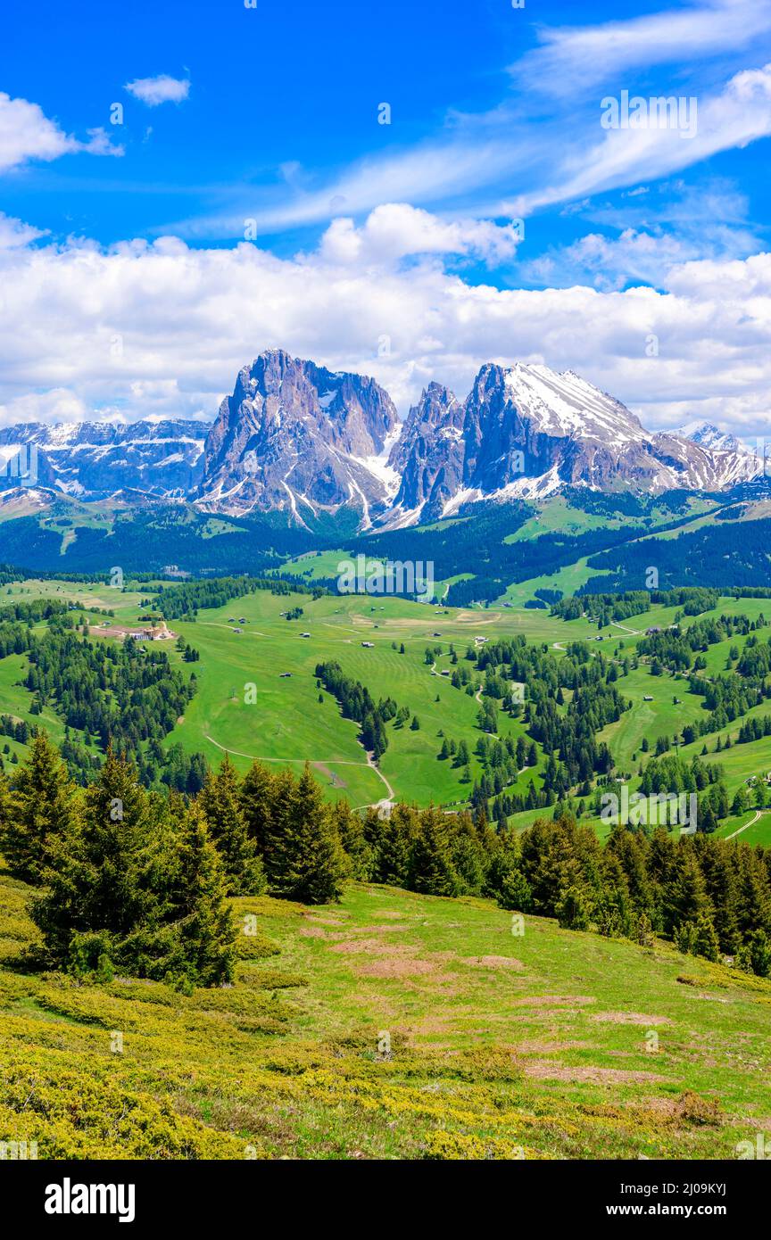 Seiser Alm oder Seiser Alm - wunderschöne Bergwelt der Dolomiten Alpen - Trentino-Südtirol, Südtirol, Italien - Reiseland in Europa Stockfoto