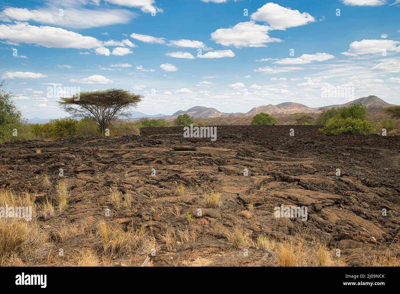 Landschaft an den Shetani Lavaströmen im Tsavo West National Park in Kenia. Stockfoto