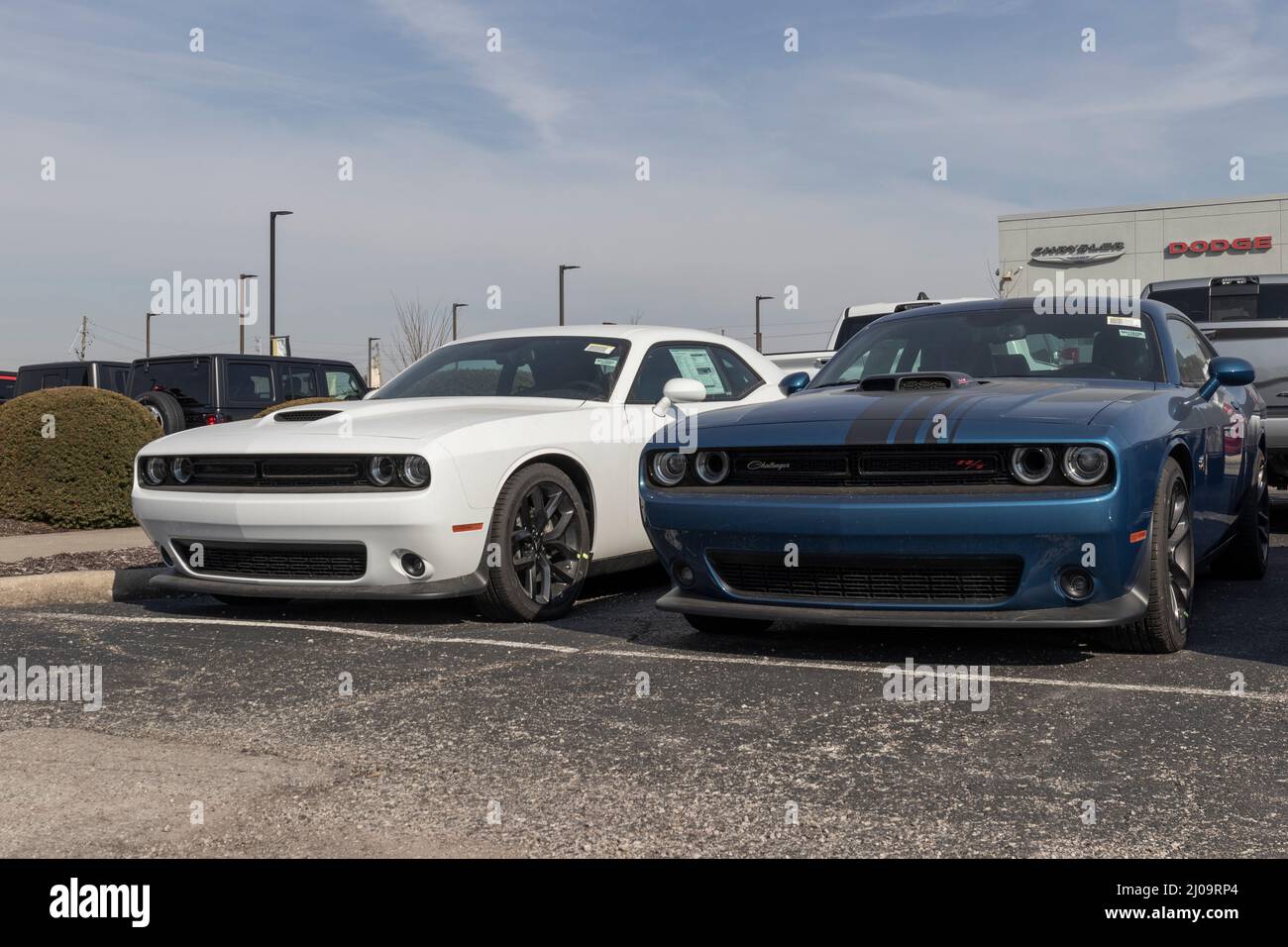 Indianapolis - ca. März 2022: Ausstellung der Dodge Challenger. Der Dodge Challenger ist ein Produkt von Stellantis und wird in SXT, GT, R/T, R/T Scat Pack an geliefert Stockfoto