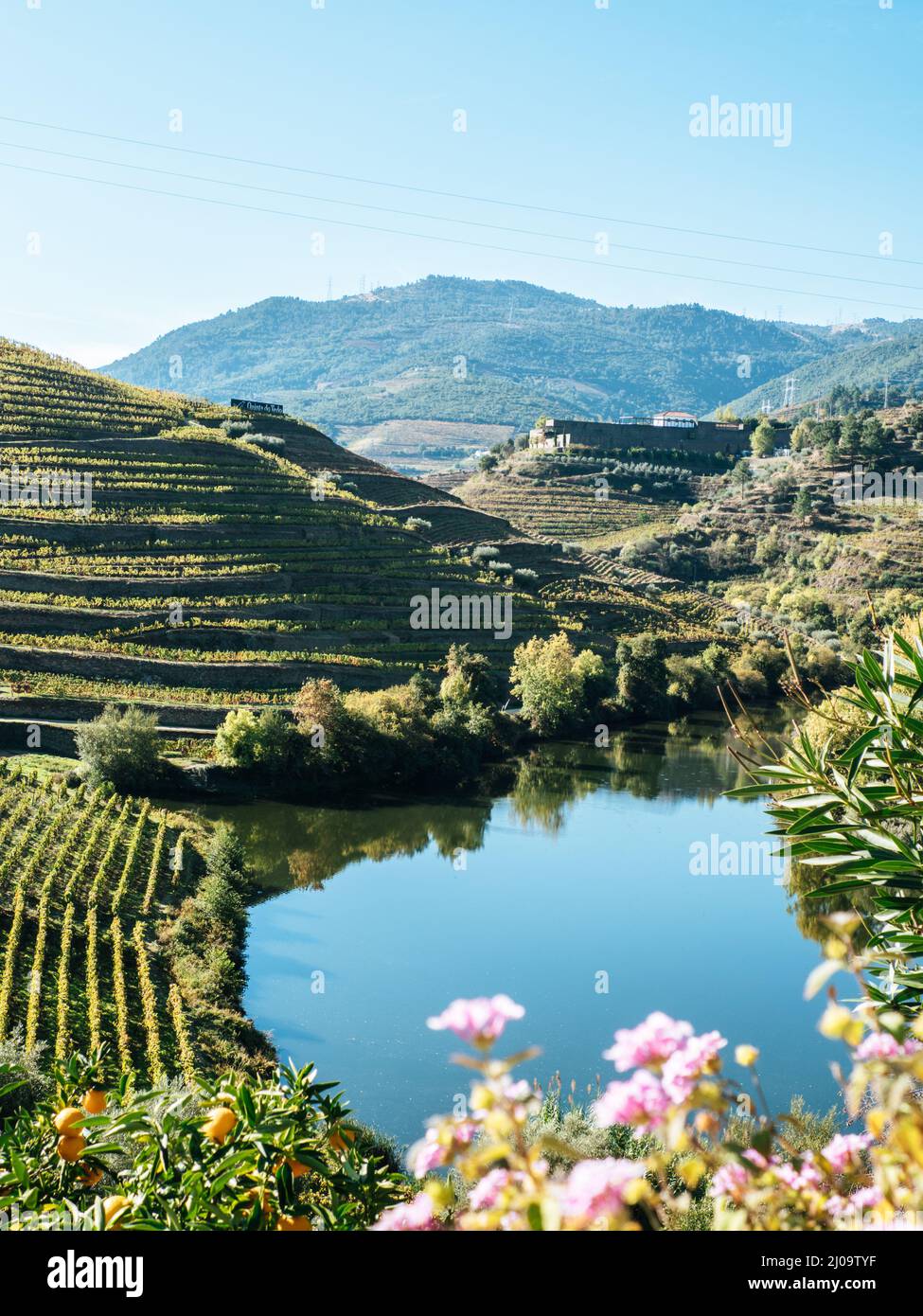 Schöner See und Berge an einem Weinberg in der Region des Rio Douro-Tals, berühmt für seinen Portwein in Portugal Stockfoto