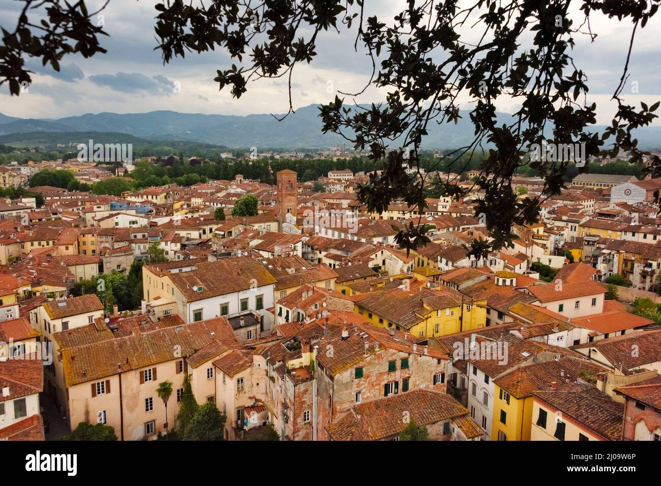 Ansicht der roten Dachhäuser von Lucca, Provinz Lucca, Toskana Region, Italien Stockfoto