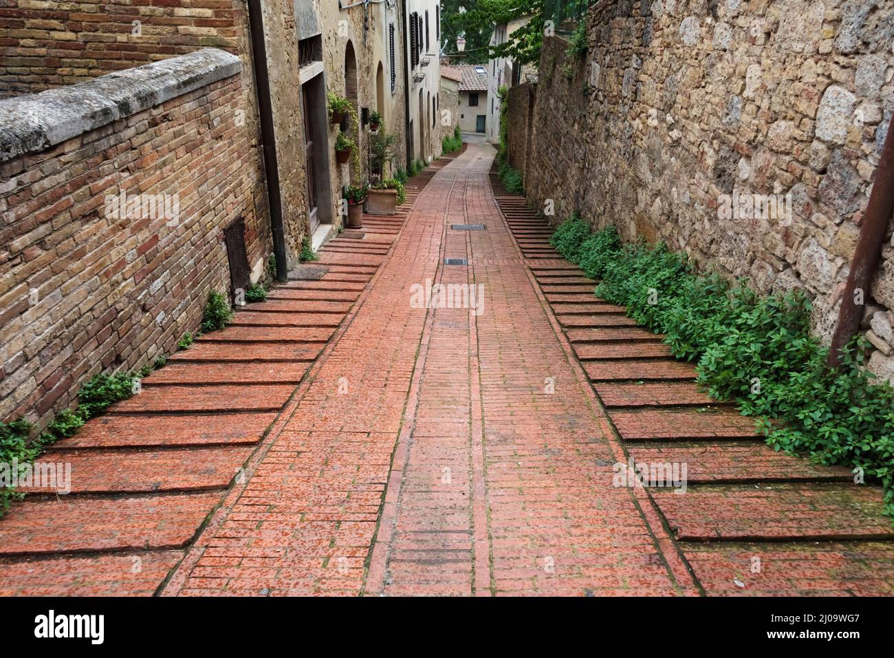 Gepflasterte Straße im historischen Zentrum von San Gimignano, UNESCO-Weltkulturerbe, Provinz Siena, Toskana, Italien Stockfoto