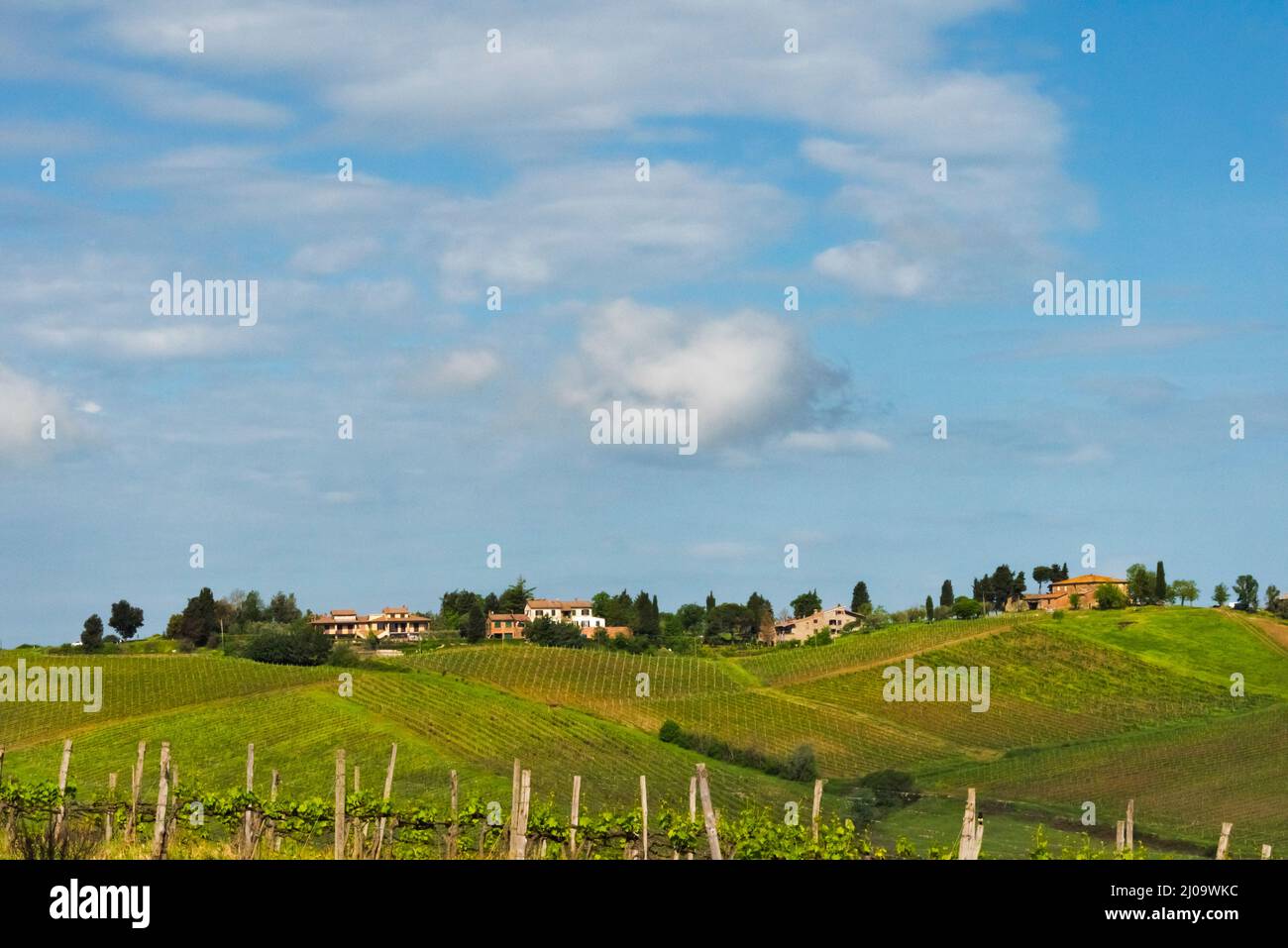Dorfhaus mit Weinberg, Chianti, Toskana Region, Italien Stockfoto