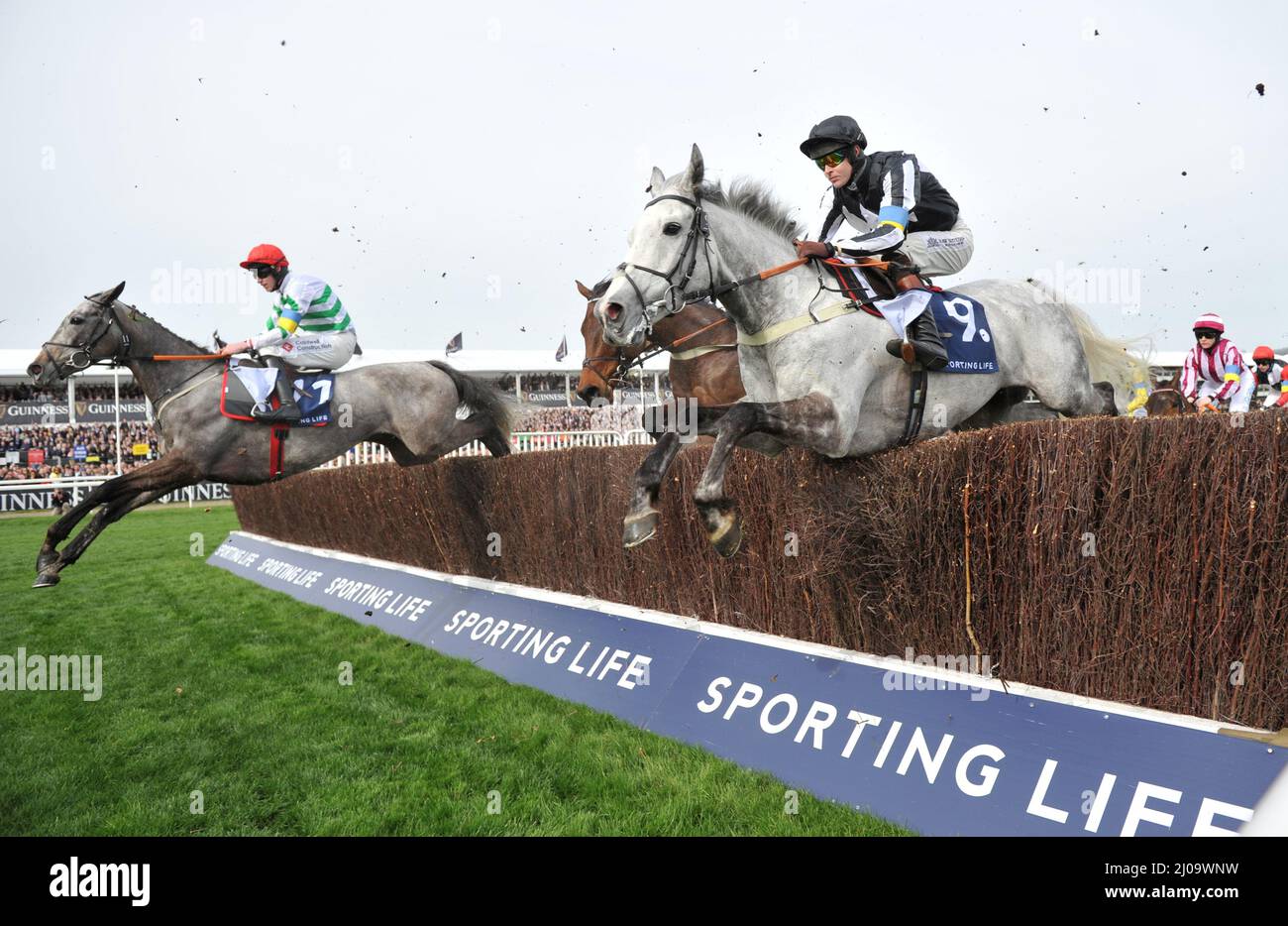 Tag 1 des Cheltenham Festivals auf der Cheltenham Rennbahn. 2,10 Arkle Chase. 9. War Lord auf der ersten Rennstrecke von Brendan Powell geritten Stockfoto