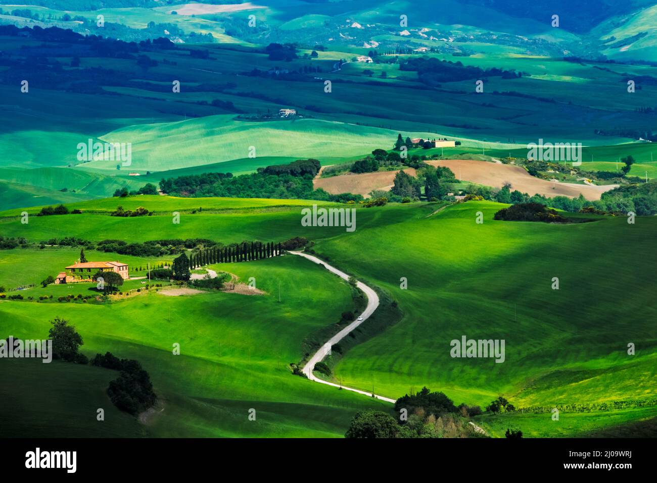 Gewundener Weg auf der Wiese, Val d'Orcia, Provinz Siena, Region Toskana, Italien Stockfoto