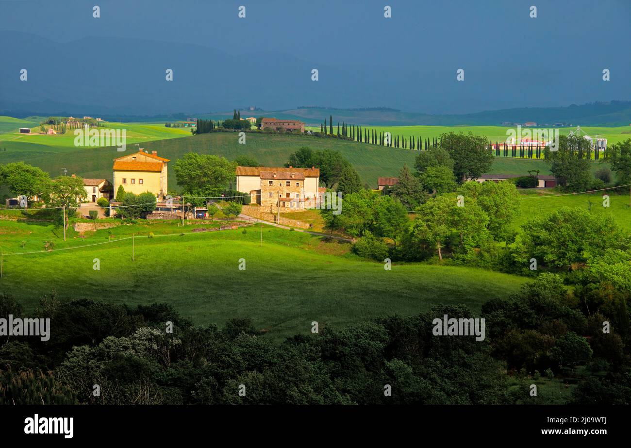 Dorfhaus und Ackerland, Val d'Orcia, Provinz Siena, Region Toskana, Italien Stockfoto