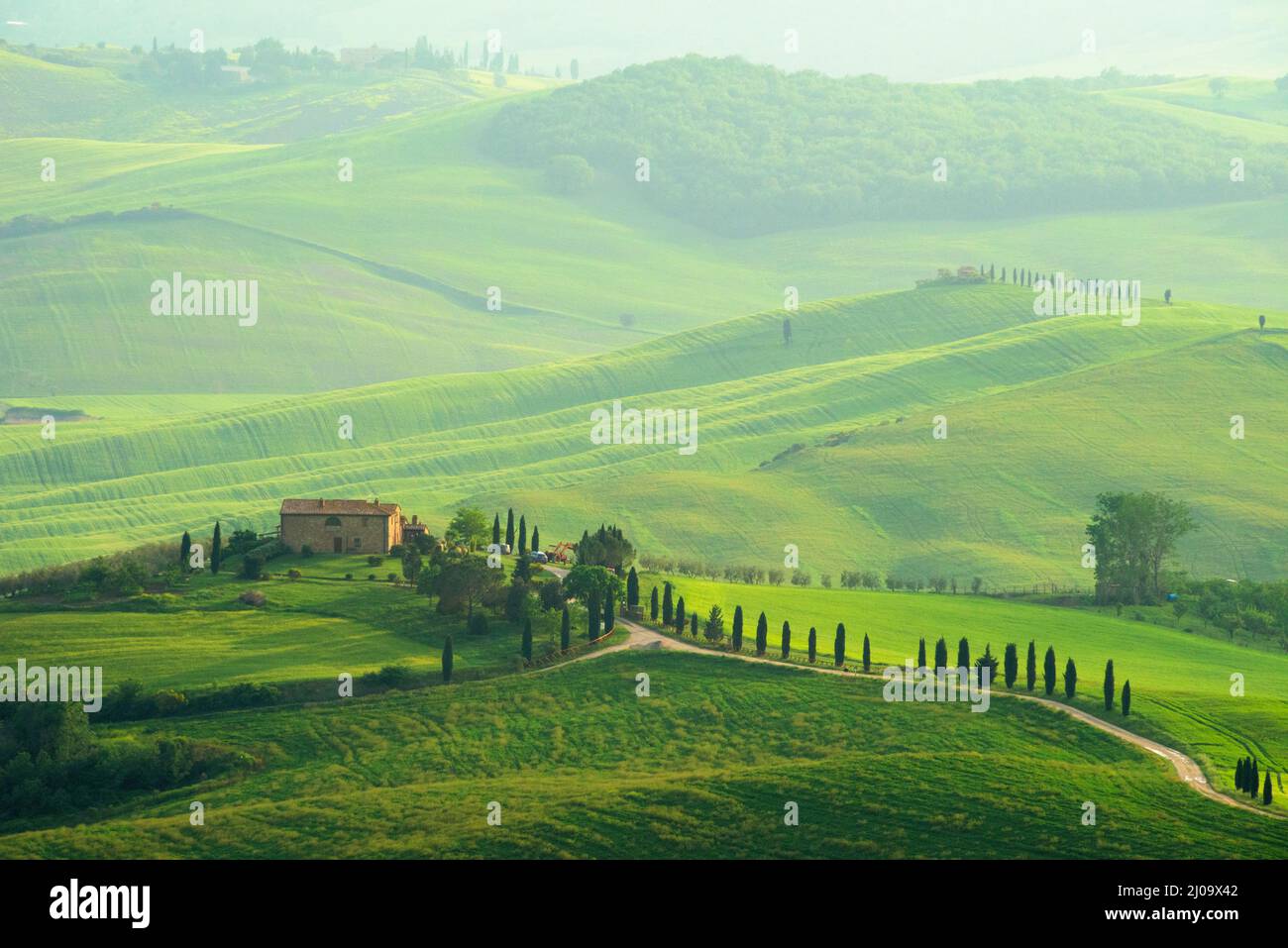 Dorfhaus auf der Wiese im Morgennebel, Val d'Orcia, Provinz Siena, Region Toskana, Italien Stockfoto
