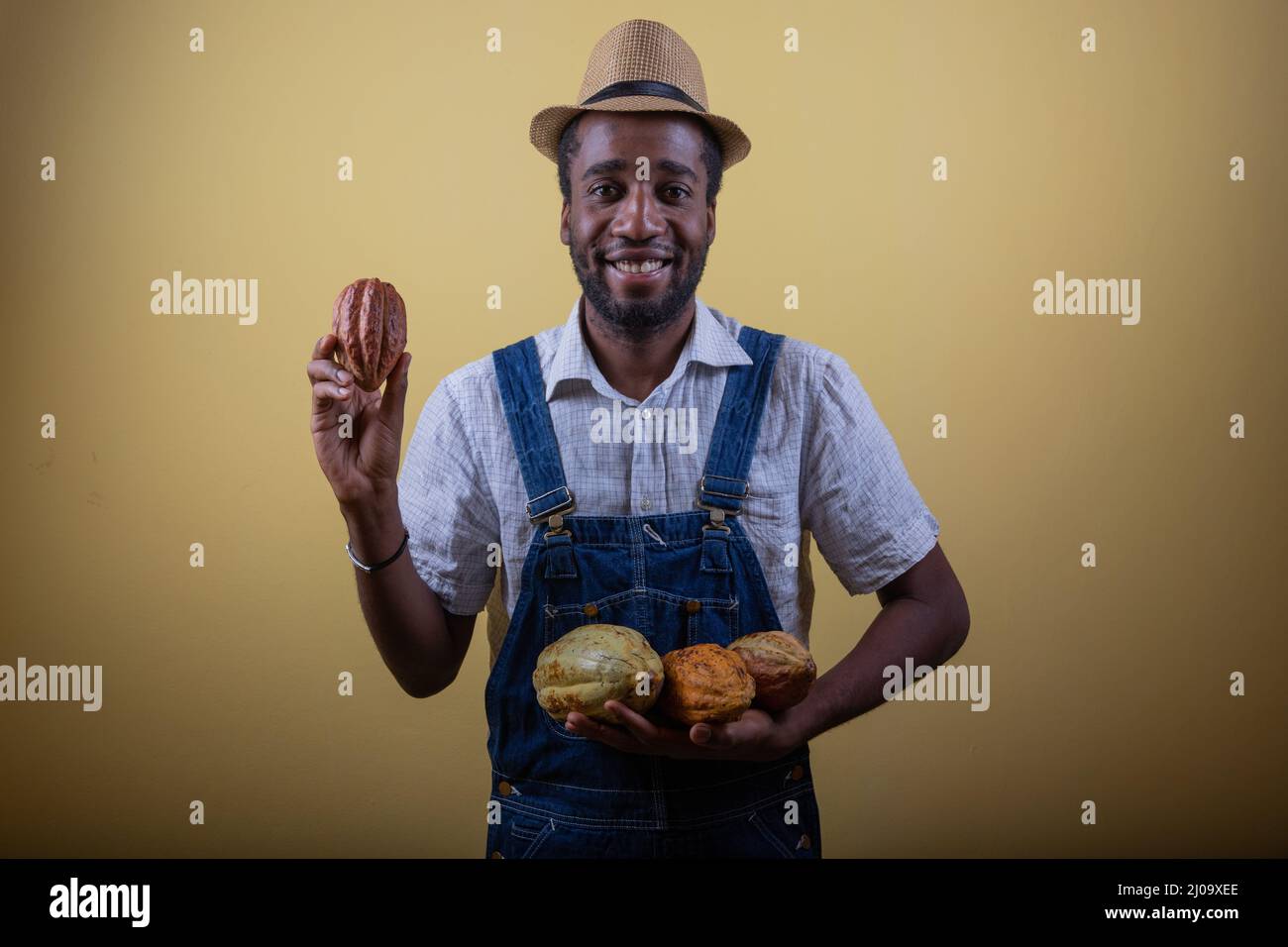 Ein afrikanischer Bauer hält Kakaobohnen in der Hand, er freut sich über die gute Ernte Stockfoto