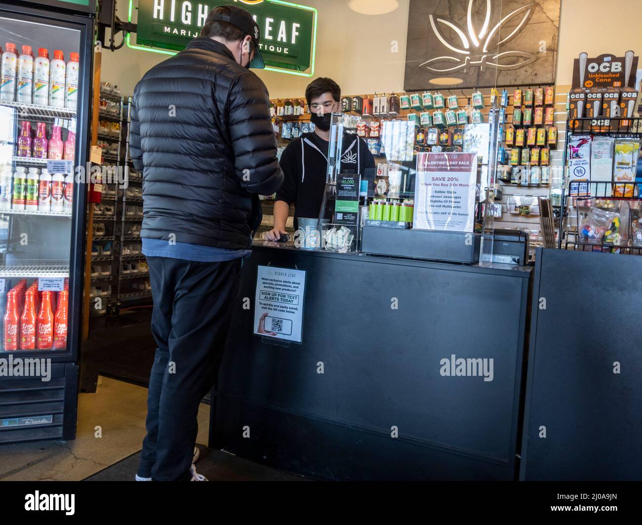 Woodinville, WA USA - ca. Februar 2022: Ansicht eines jungen erwachsenen Mannes, der Marihuana in einem Unkrautladen mit höherer Blattpflanze kauft Stockfoto