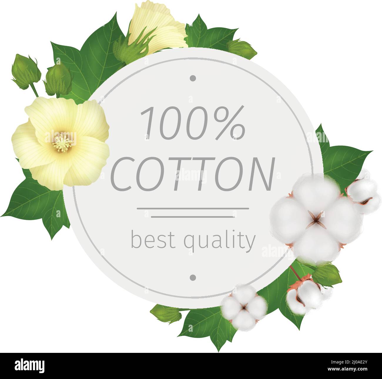 Baumwollblume realistische runde Zusammensetzung mit bester Qualität Beschreibung und Blumen um Vektor-Illustration Stock Vektor