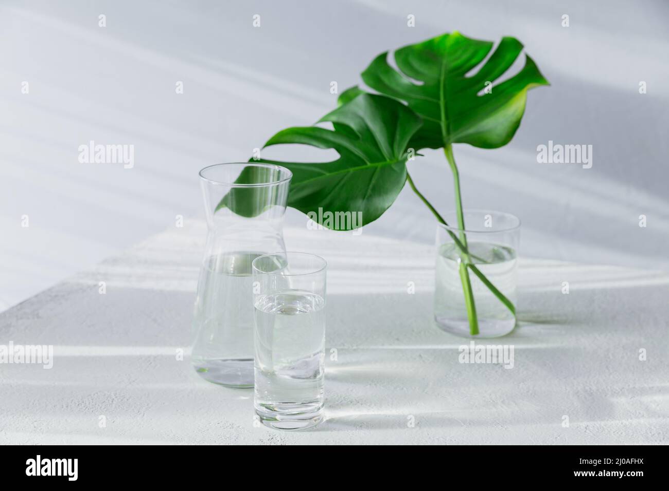 Morgenglas und Glas mit sauberem Wasser mit zwei großen grünen Blättern auf weißem Tisch. Frühstück mit Sonneneinstrahlung, langen Schatten und Reflexionen. Konzept einer Gesundheit Stockfoto