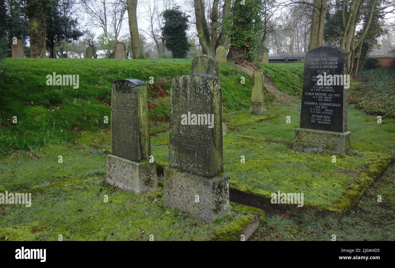 Lingen, Deutschland - Apr 6 2016 das traurige Ergebnis der Hitlerpropaganda ist hier auf dem alten jüdischen Friedhof zu sehen. Stockfoto