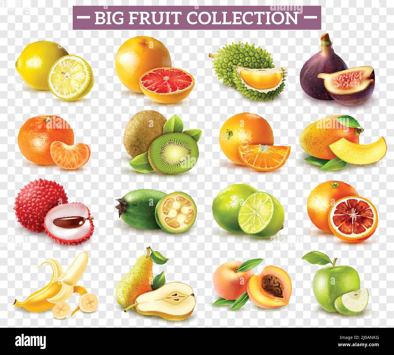 Realistischer Satz von verschiedenen Arten von Früchten mit orangen Kiwi Birne Zitrone Limette Apfel isoliert auf transparentem Hintergrund Vektor-Illustration Stock Vektor