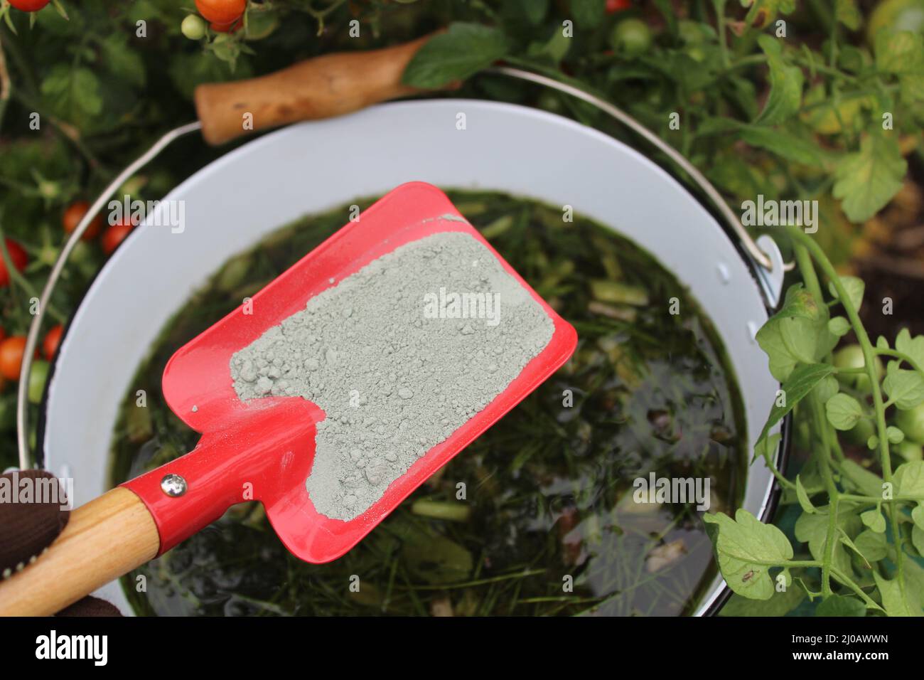 Flüssiger Dünger aus Kräutern und Steinmehl vor einer Tomate Stockfoto