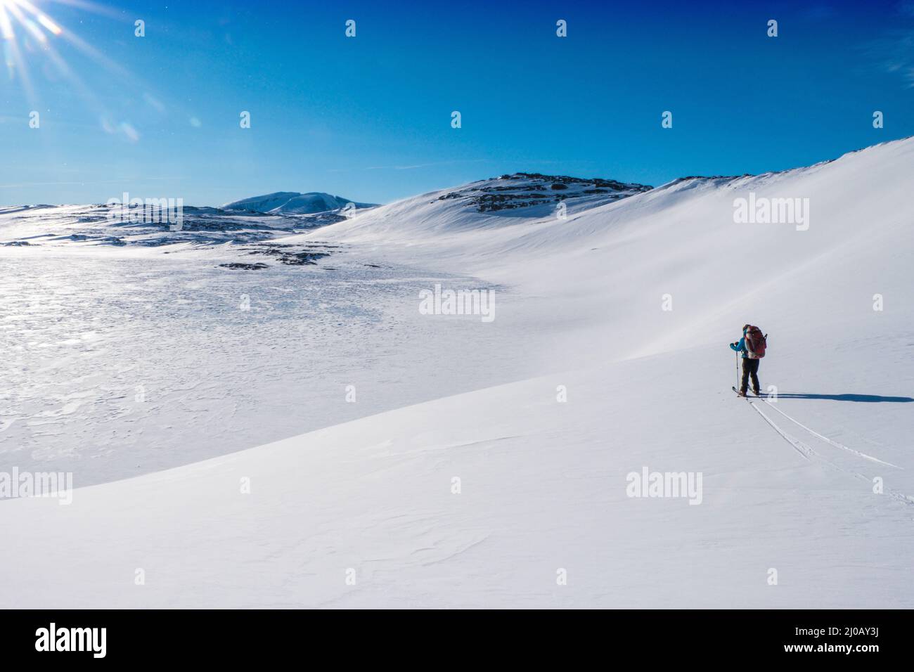 Ein einzelliger Skilanglauf-Tourer in der Region Dovre/Dovrefjell in Norwegen Stockfoto