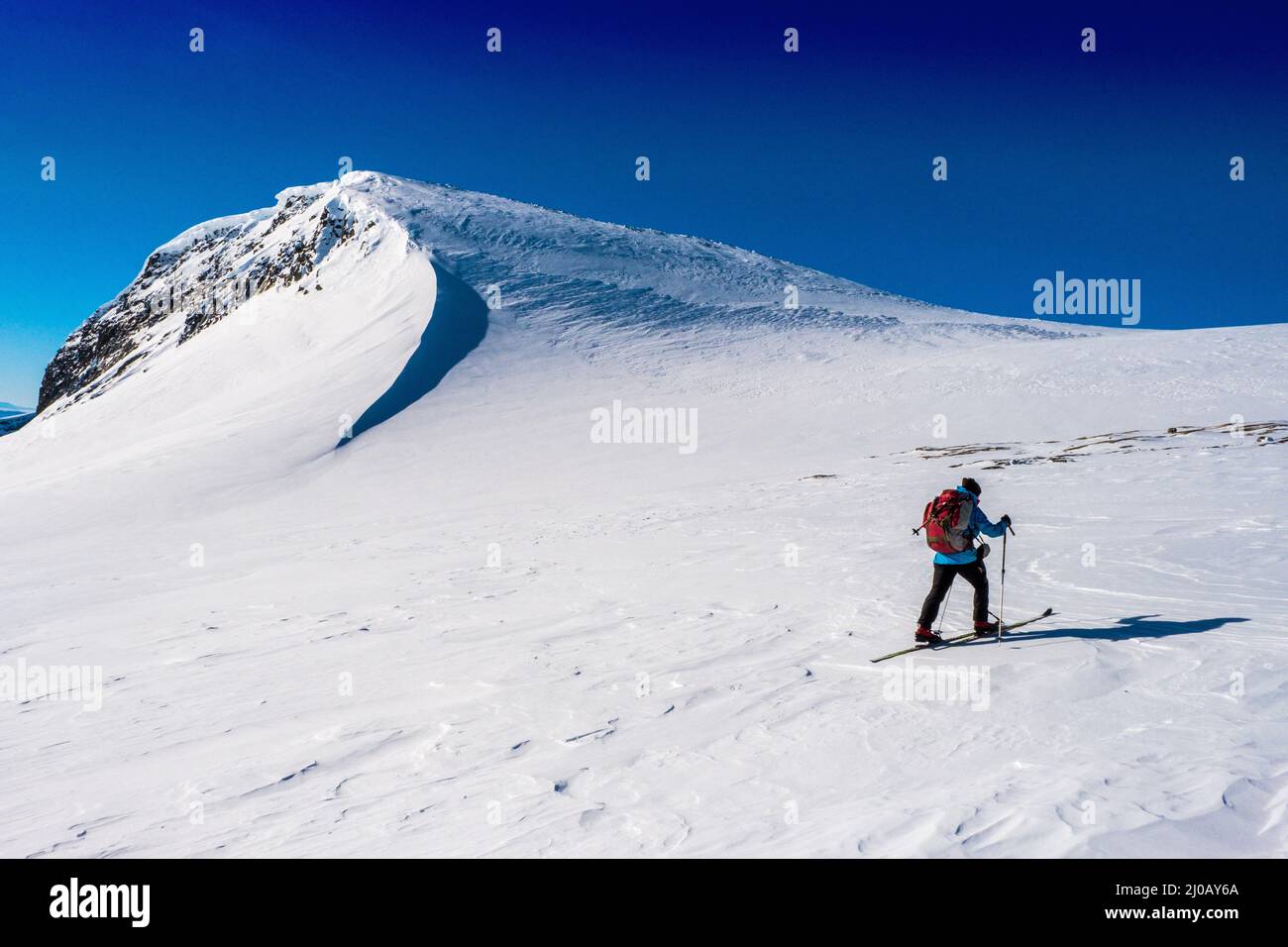 Ein einzelliger Skilanglauf-Tourer in der Region Dovre/Dovrefjell in Norwegen Stockfoto