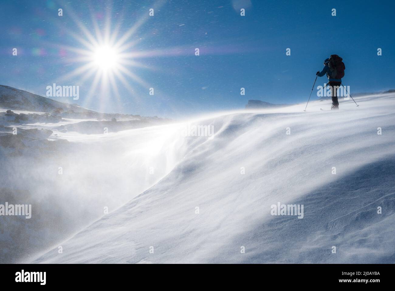 Ein einzelliger Skilanglauf-Tourer bei starken Winden und Spindrift in der Region Dovre/Dovrefjell in Norwegen Stockfoto