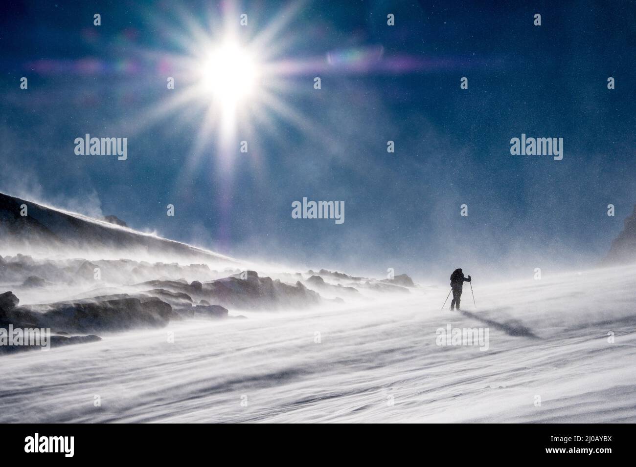 Ein einzelliger Skilanglauf-Tourer bei starken Winden und Spindrift in der Region Dovre/Dovrefjell in Norwegen Stockfoto