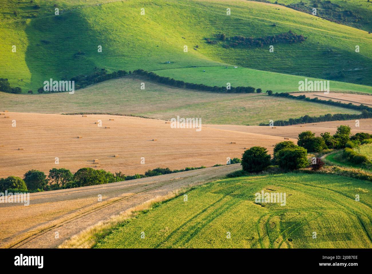 Sommer am Nachmittag auf der South Downs in East Sussex, England. Stockfoto