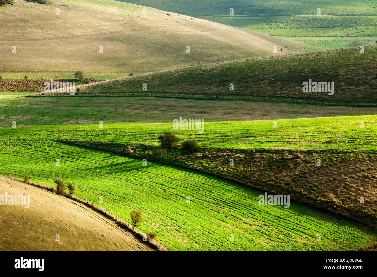 Winternachmittag auf den South Downs in East Sussex, England. Stockfoto