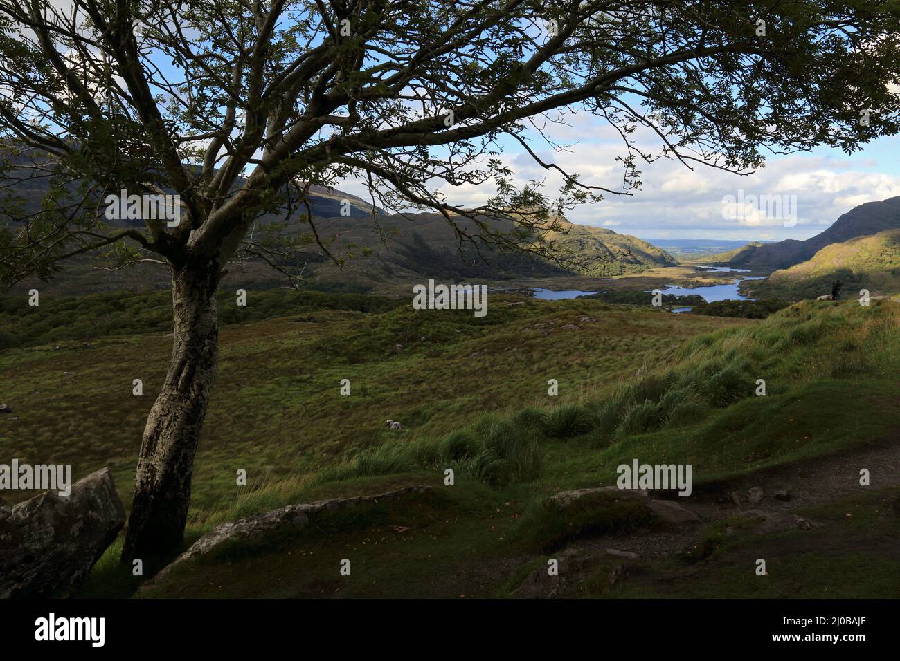 Killarney National Park aus Ladies View, Irland Stockfoto