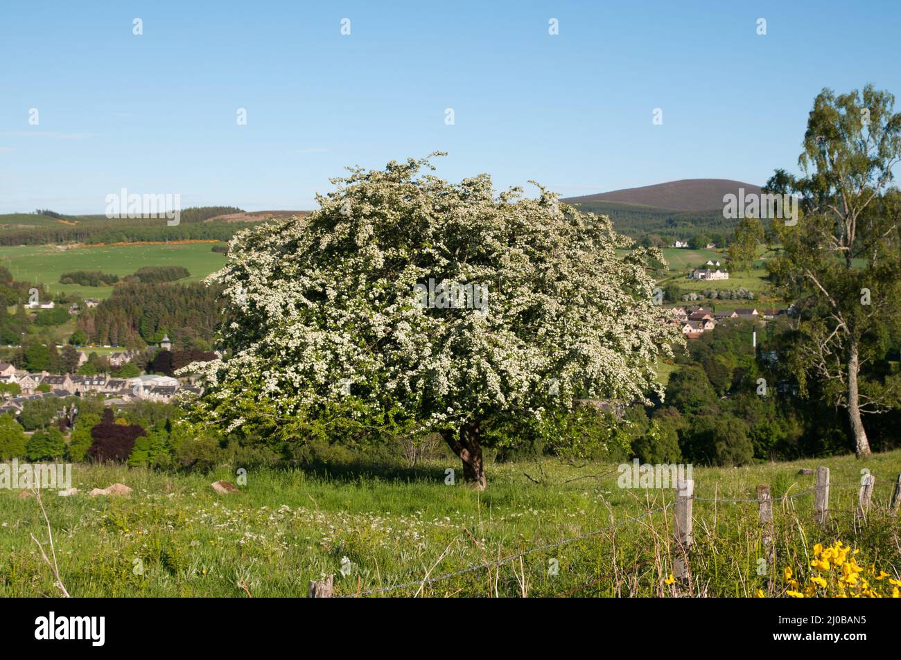 Landschaft Speyside Schottland Stockfoto