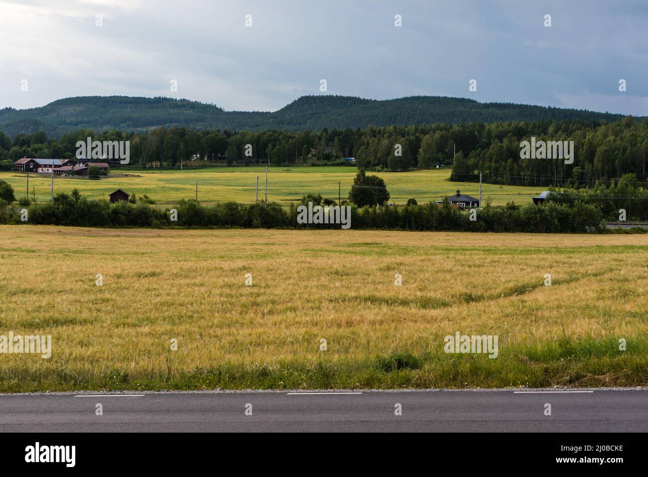 Blick über die schwedische Landschaft rund um Segersta mit landwirtschaftlichen Feldern, Bäumen, Gras und Weizenfeldern, Segersta, Schweden Stockfoto
