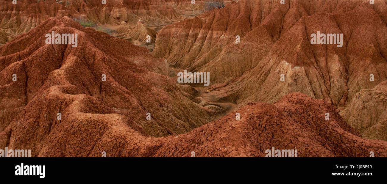 Cliff mit Kakteen und Tal der rot orange Sand Stein Felsformation in heißen Wüste Tatacoa, Huila Stockfoto