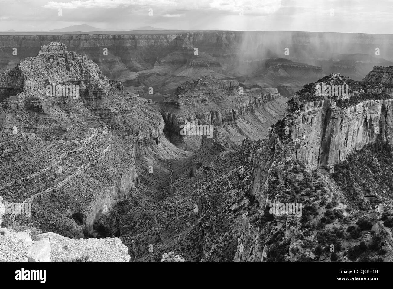 Der wunderschöne Grand Canyon Nationalpark Nordrand arizona (schwarz und weiß) USA Stockfoto