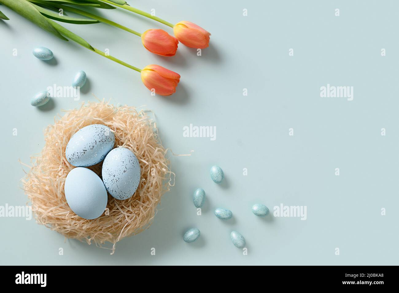 Ostereier im Nest und Frühlingstulpen auf blauem Hintergrund. Blick von oben. Ostern Grußkarte mit Kopierplatz. Draufsicht. Stockfoto