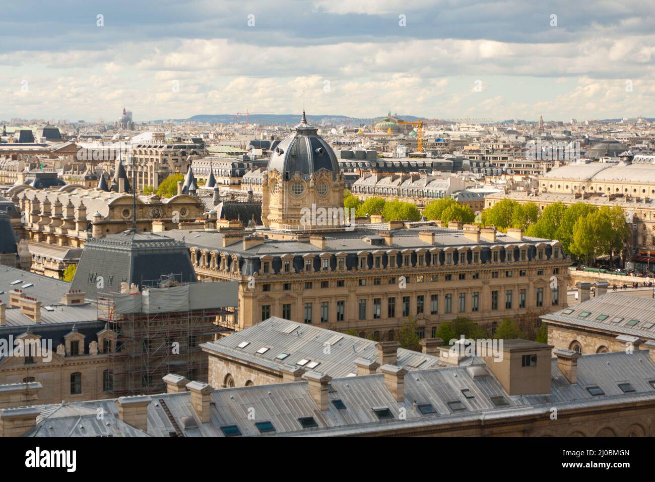 Wasserspeier an der Kathedrale Notre-Dame, Paris, Frankreich Stockfoto