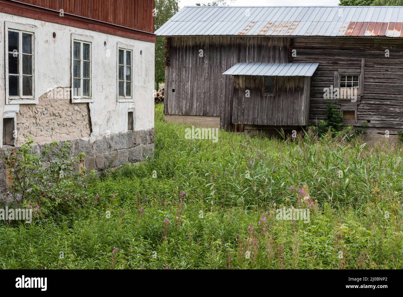 Alte Farm und Grundnahrungsmittel in der schwedischen Landschaft, Segersta, Bollnas, Schweden Stockfoto