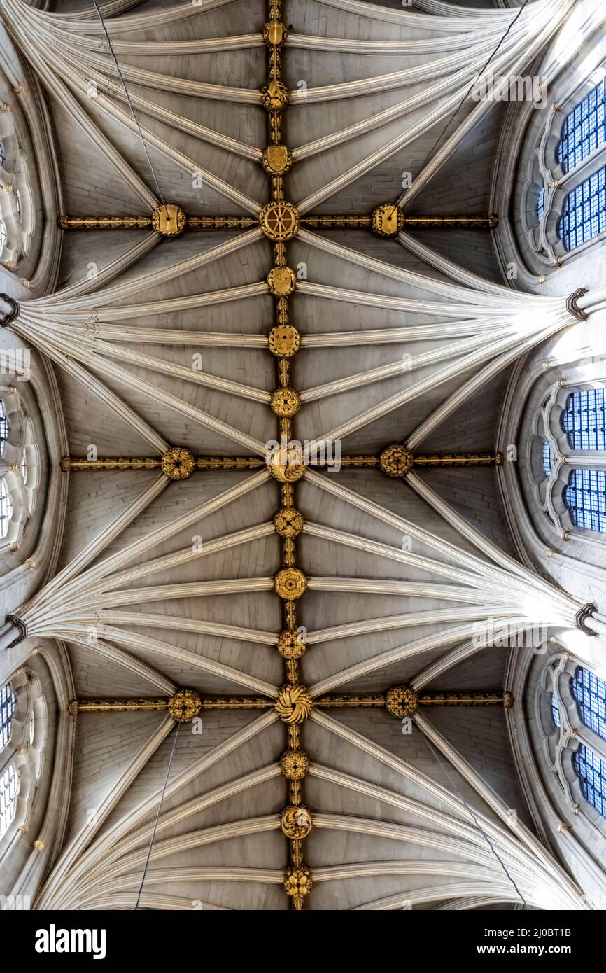England, London, Westminster Abbey, das Kirchenschiff, Musterdetail der Fächergewölbe Stockfoto
