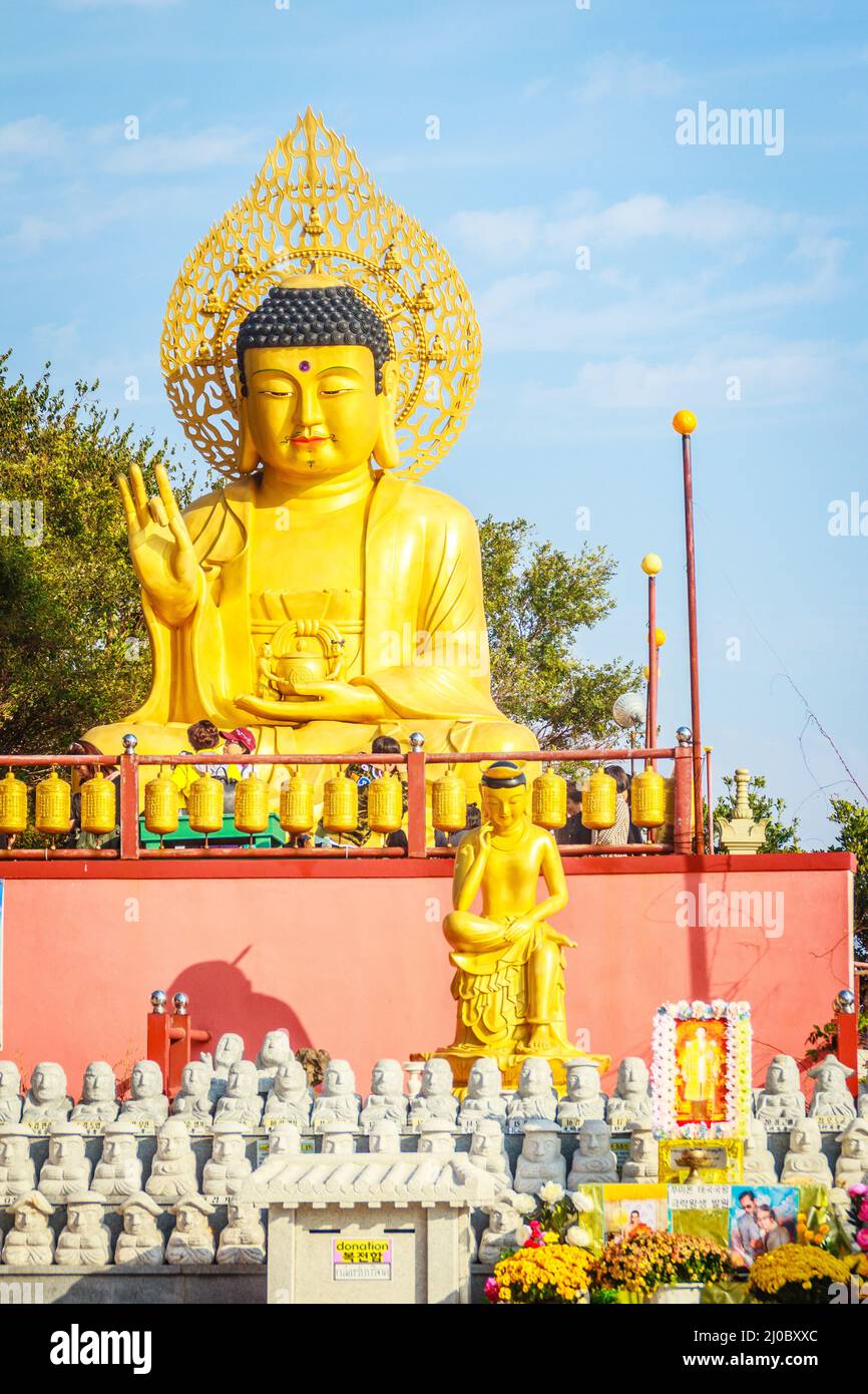 Gold Giant Buddha, ist Haupt-Buddha-Statue im Sanbanggulsa Tempel, Sanbanggulsa in Jeju-Do, Insel Jeju in Südkorea Stockfoto