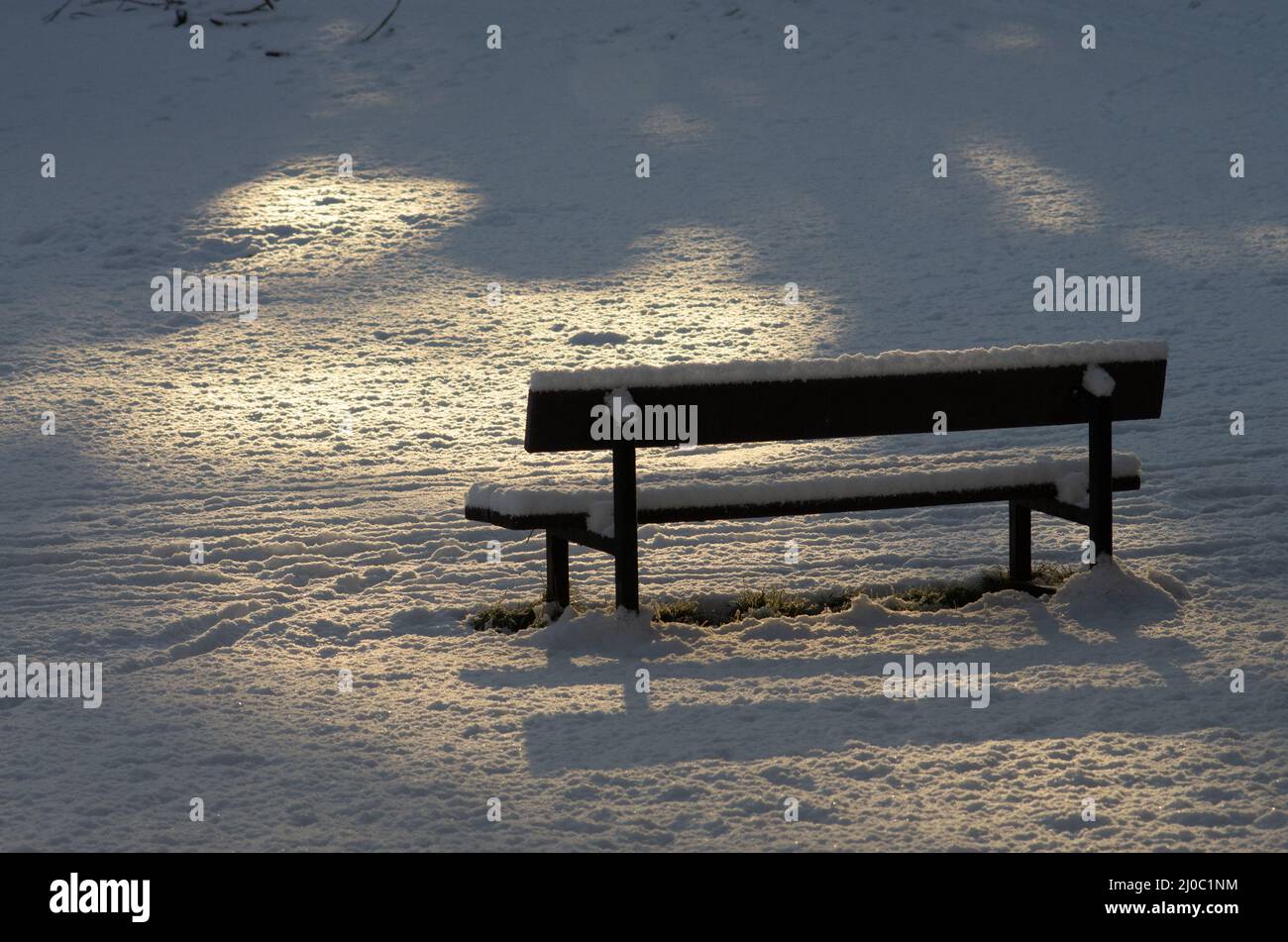 Im Winter scheint auf einer leeren, schneebedeckten Bank in einem Park Sonnenlicht Stockfoto