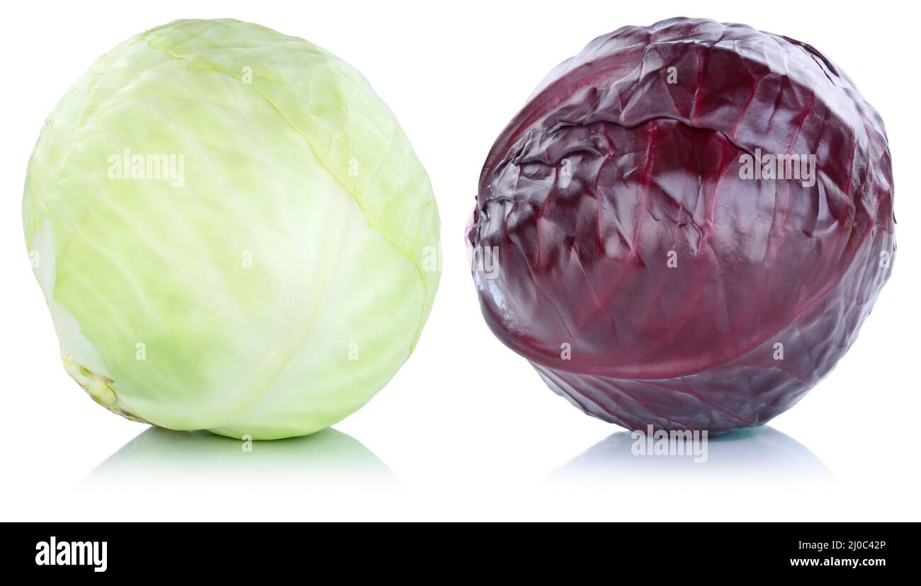 Weißkohl Weißkohl Blaukohl Rotkohl Kohlgemüse isoliert ausgenommen Stockfoto