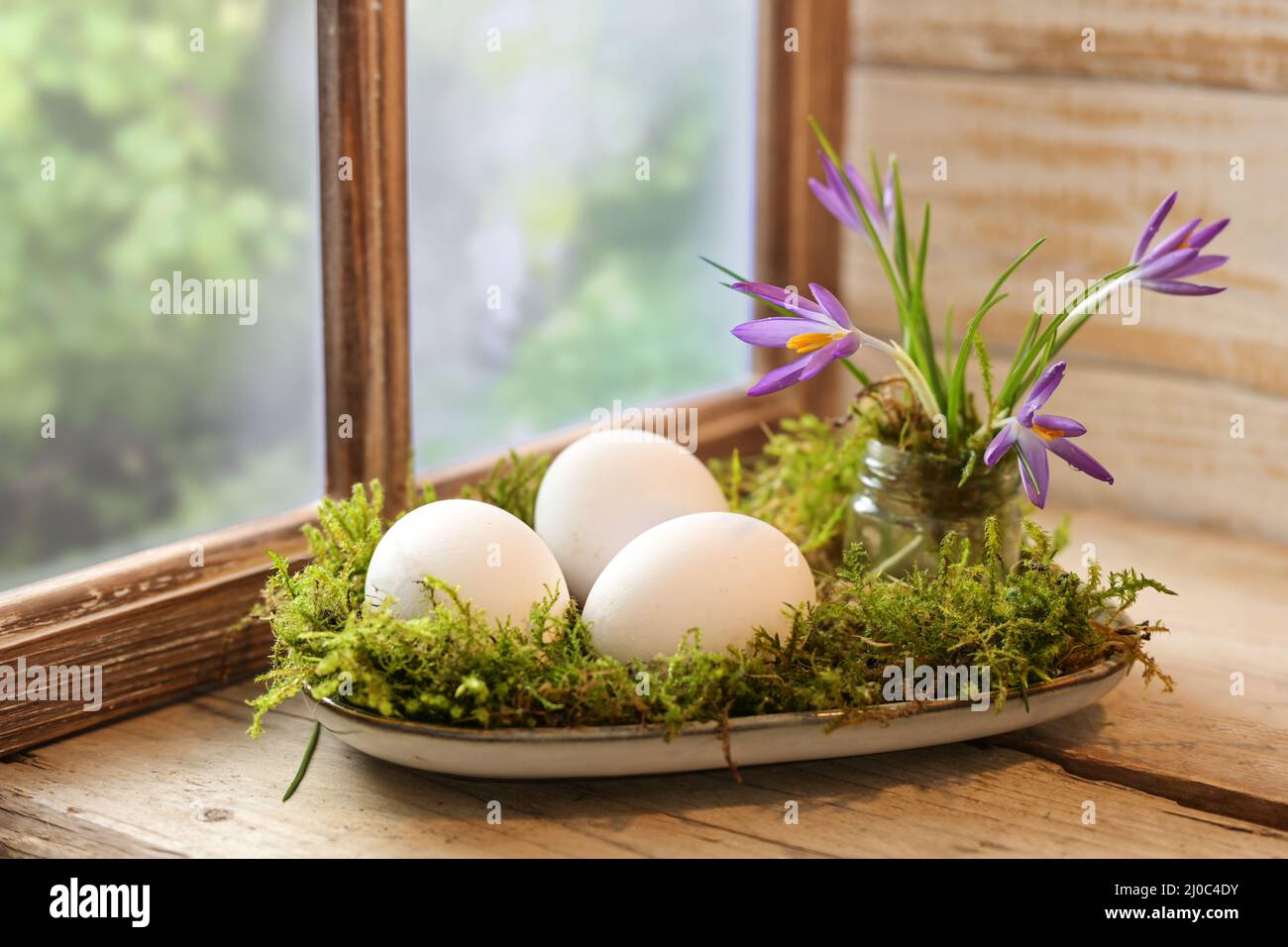 Ländliche Osterdekoration mit weißen Eiern, Krokusblumen und Moos auf einem Teller auf einem rustikalen Holztisch am Fenster angeordnet, Kopierraum, ausgewählte Focu Stockfoto