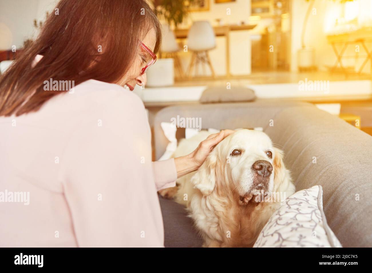 Ältere Frau Haustiere Hund zu Hause veterinärmedizinische Therapie für Einsamkeit Stockfoto