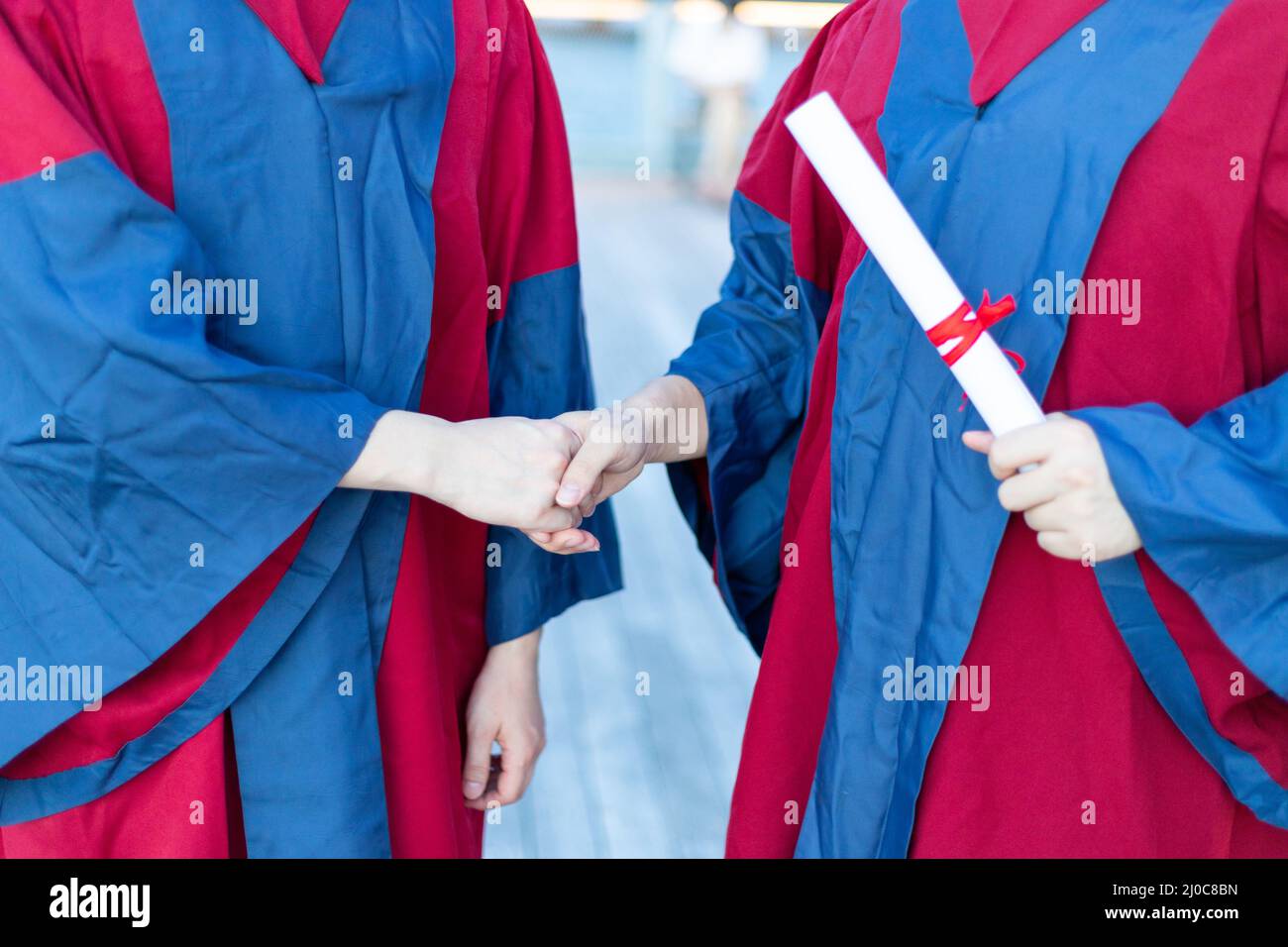 Zwei glückliche, stolze Doktoranden im akademischen Kleid schütteln sich die Hände und gratulieren sich gegenseitig Stockfoto