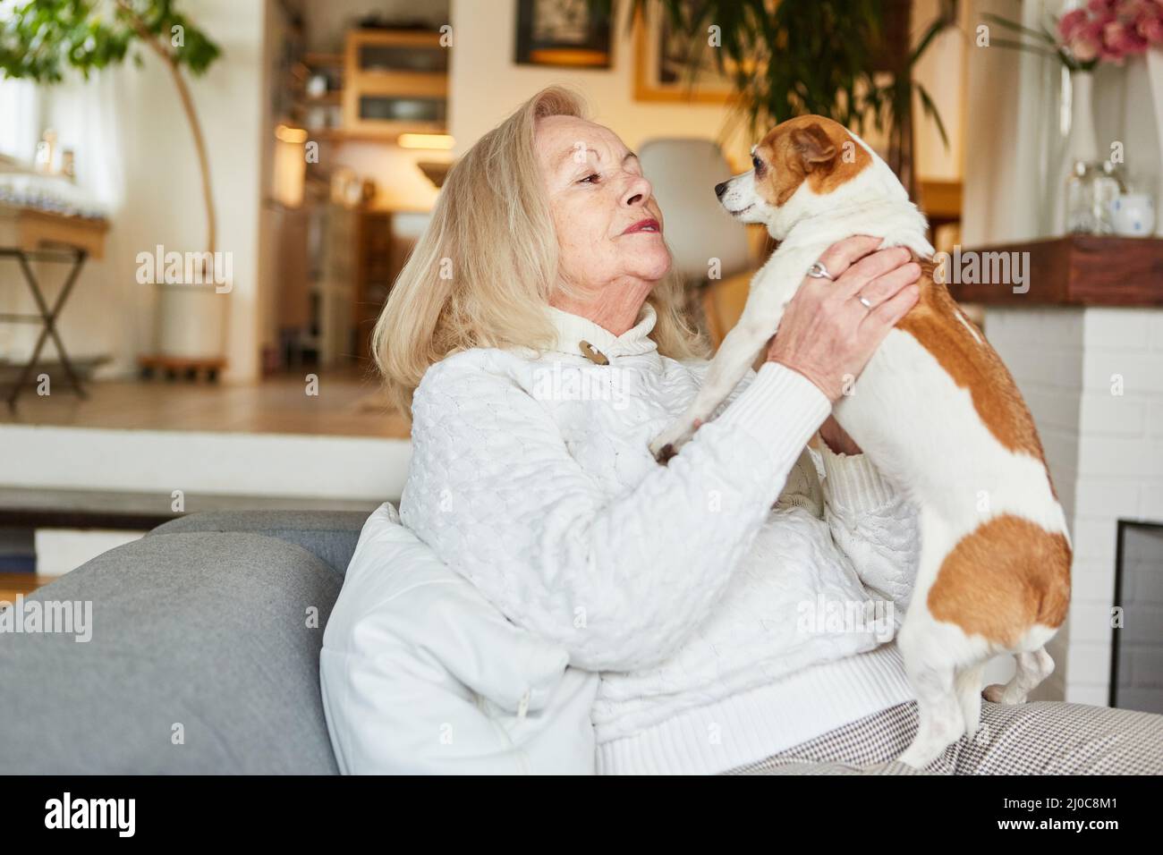 Glückliche ältere Frau mit ihrem kleinen Hund auf dem Schoß gegen Einsamkeit und für Gesellschaft Stockfoto